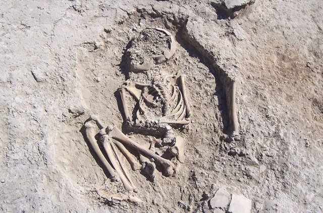 5700-летний скелет ребенка с расколотым черепом откопали в Турции