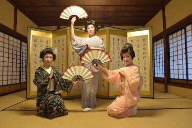 Гейши - последние хранительницы традиционной японской культуры