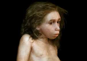 Женщины вида Homo sapiens не могли иметь детей от неандертальцев?