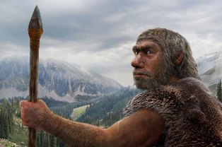 Чем неандертальцы отличаются от современных людей