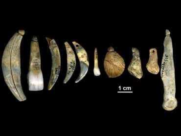 Неандертальцы делали орудия и красивые украшения