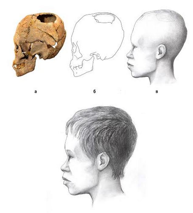 В сибирском кургане найден череп ребенка со следами трепанации