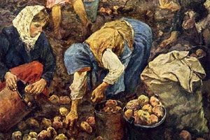 "Чертово яблоко" или о внедрении картофеля в России